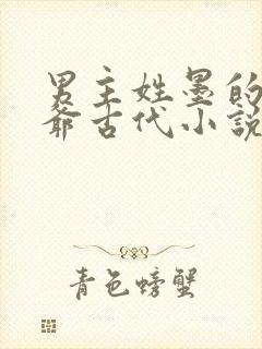 男主姓墨的是王爷古代小说