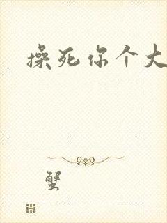 操死你个大骚货封面