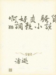 啊好爽 骚货sm调教小说封面