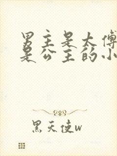 男主是太傅女主是公主的小说