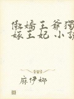 傲娇王爷独宠替嫁王妃 小说