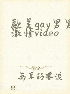 欧美gay男男激情video封面