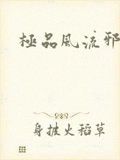 极品风流邪少封面