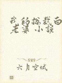 我的总裁白富美老婆 小说