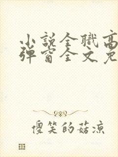 小说全职高手无弹窗全文免费阅读封面