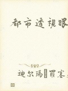 都市透视眼