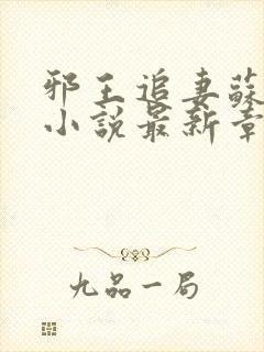 邪王追妻苏小暖小说最新章节阅读