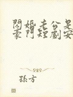 闪婚老公是超级豪门短剧安南