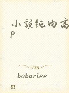 小说纯肉高hnp