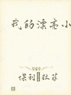 我的漂亮小后妈