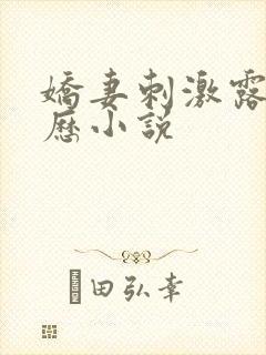 娇妻刺激露出经历小说