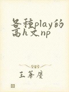 各种play的高h文np