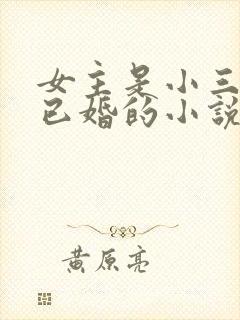 女主是小三男主已婚的小说推荐