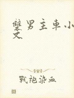 双男主车小说推文