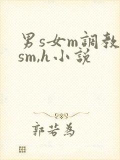 男s女m调教(sm,h小说
