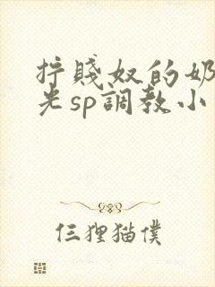 拧贱奴的奶头耳光sp调教小说