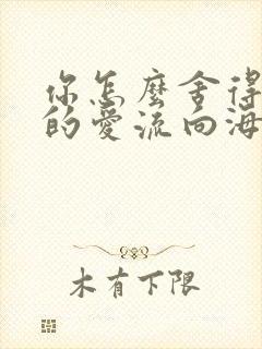 你怎么舍得让我的爱流向海