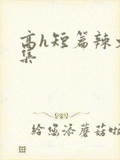 高h短篇辣文合集