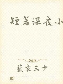 短篇深夜小说h封面