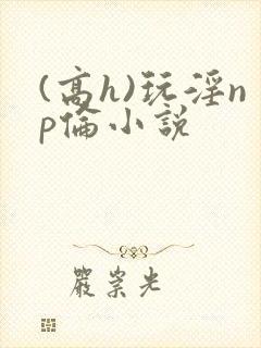 (高h)玩淫np伦小说