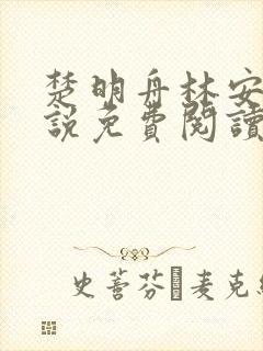 楚明舟林安安小说免费阅读无弹窗封面