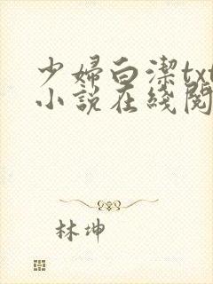 少妇白洁txt小说在线阅读