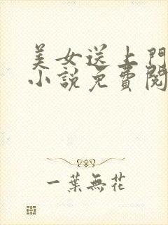 美女送上门小雪小说免费阅读无弹窗封面