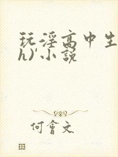 玩淫高中生(高h)'小说
