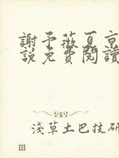 谢予薇夏京泽小说免费阅读最新章节封面