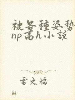 被各种姿势玩弄np高h小说