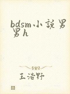 bdsm小说男男h封面