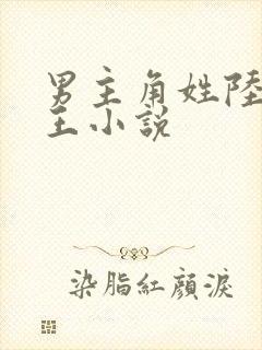 男主角姓陆的兵王小说