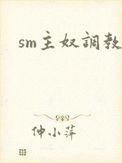 sm主奴调教文封面