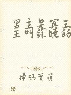 男主是冥王,女主叫苏晓的小说