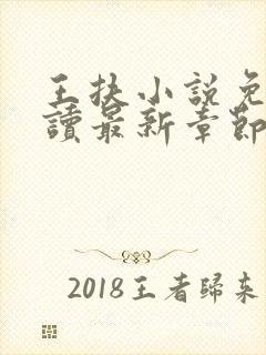 王扶小说免费阅读最新章节无弹窗