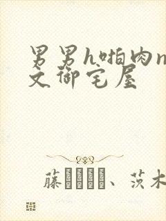 男男h啪肉np文御宅屋