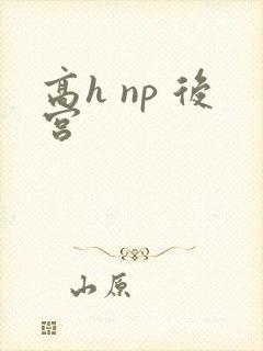 高h np 后宫