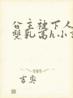 公主被下人玩弄双乳高h小说封面