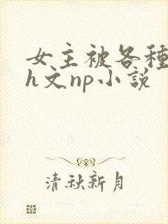 女主被各种调教h文np小说
