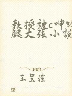 教授被c呻吟双腿大张小说