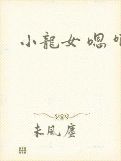 小龙女 嗯 啊封面