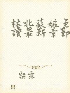 林北苏婉免费阅读最新章节