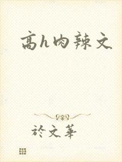 高h肉辣文封面