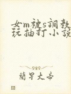 女m被s调教虐玩抽打小说
