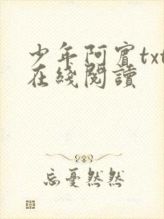 少年阿宾txt在线阅读