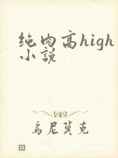 纯肉高high小说