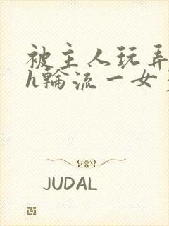 被主人玩弄的高h轮流一女多男小说