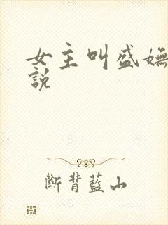 女主叫盛妩的小说封面