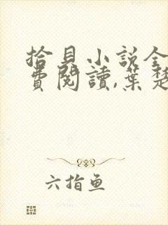 拾贝小说全文免费阅读,叶楚姜君瑶