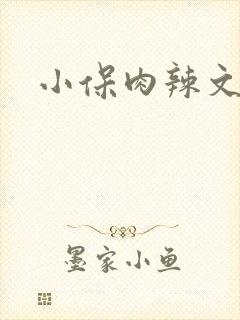 小保肉辣文小说封面